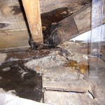 attic leak
