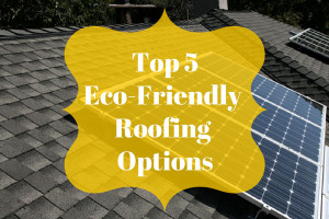 5 Eco-Friendly Roofing Options | Bay Area Roofing & Solar