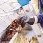 How to Clean Your Gutters Without Risking Your Neck