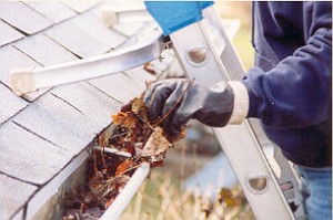 How to Clean Your Gutters Without Risking Your Neck