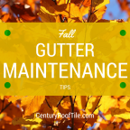 Fall Bay Area Gutter Maintenance