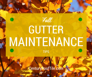 Fall Bay Area Gutter Maintenance