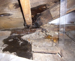 How to Check Your Roof for Leaks before the Rainy Season